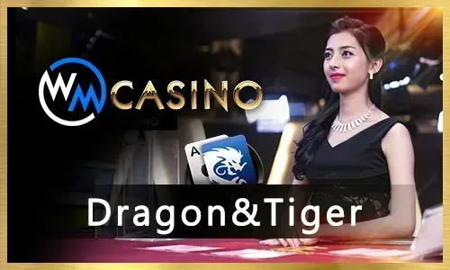 Live dealer dealing cards at a blackjack table